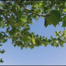 해피케어 이미지