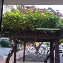 자은경로당 이미지