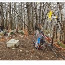 노귀재휴게소 이미지