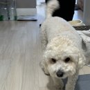 우주네맥주 이미지