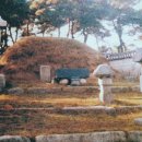 곡산부원군 연사종 묘소 | ◎ 곡산부원군(谷山府院君) 연사종(延嗣宗)