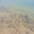 우곡사 저수지 이미지