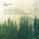 태적