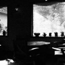 낭띠전원카페 이미지