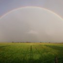 선정농장 이미지