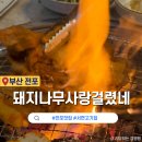전포맛집 서면고기집 돼지나무사랑걸렸네 고추장삼겹살 추천