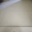 한마루 | 대전 둔산동 럭키한마루아파트 케라폭시 줄눈 시공 후기 (화장실 2개소 + 현관)