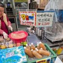 산새사슴농장 네이버블로그