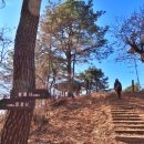 용댕이매운탕 이미지