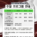 용인대범호태권도장 이미지