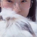 프로덕트스튜디오
