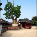 정원용 묘 | 수원나들이 - 수원화성박물관