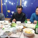 제비골 농장 Daum카페