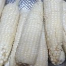 골말농장 이미지