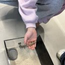 반려동물 커먼머스크 거북이 분양 후기 동탄 파충류샵 : 부기배미 파충류샵 , 화성 파충류샵 도마뱀 분양