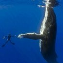 헤어카페 이미지