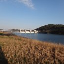 낙동강변11 이미지