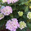 달리면서 생각한 것들 이미지