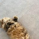 별이랑 놀자 이미지