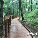 2017년 대청호반숲 무장애나눔길 조성 뉴스1