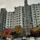 이레중앙약국 이미지