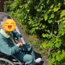 수원-0607 이미지