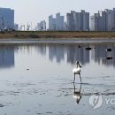 장수천* 이미지