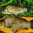 오류내낚시터 이미지