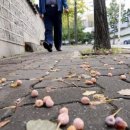 신나는 날 이미지