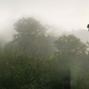 맹골마을 이미지