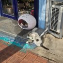 목화빵집 이미지