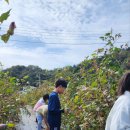 마령초등학교 이미지