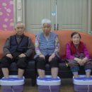 진잠홈마트