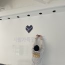 사랑가득합기도 이미지