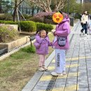 태권쏭(태권도장) | [추억 기록/강동구 태권도장] 만5년 간 다닌 태권도의 기록들