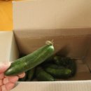 쭈니농산