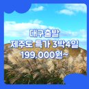 대구크라운여행사 | 제주도3박4일패키지여행 / 대구_특가_제주도_3박4일 #관광패키지 #석조