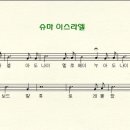 (주)쉐마이스라엘 이미지