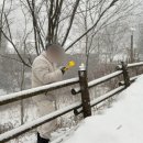횡성 둔내면복지회관 | [ 강원 _ 횡성 ] 겨울 숲캉스 :: 국립횡성숲체원 / 하누성 / 청태산막국수