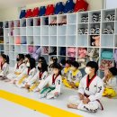 빛솔 태권도장 이미지