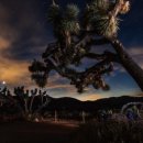 원트리투어 이미지