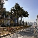 서초대로 141-25 이미지