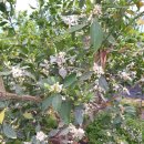 왕눈이농장 이미지