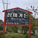 [백반기행 288회/3.23방송] 안지환·인예인도 극찬! 담양 장미가든 &#39;전골식 메기찜&#39; 맛집 위치+메뉴가격...