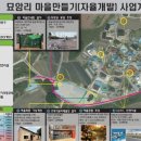 묘암리 미디어투데이