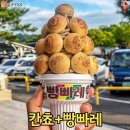 맛도리 - 삼척시 | 맛도리