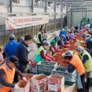 하나마이크론(주) 네이버블로그