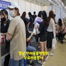 도그아트켄넬 이미지