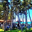 바다정원 이미지