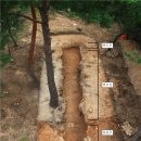 여래3구 | 해남군 - 해남 구 목포구 등대, 서동사(서동사 대웅전, 해남 서동사 동백나무 · 비자나무 숲)